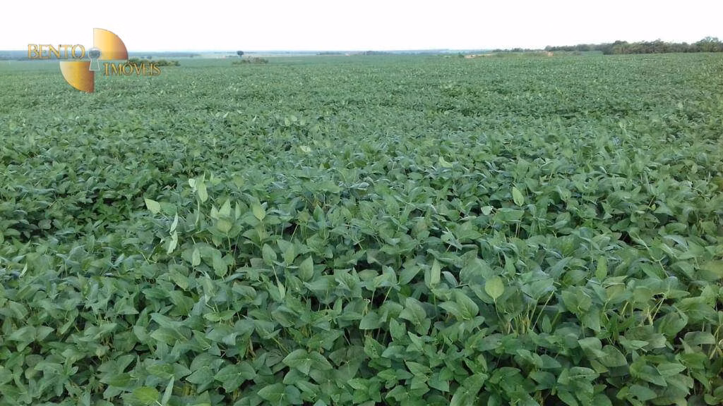 Fazenda de 4.080 ha em Ribeirão Cascalheira, MT