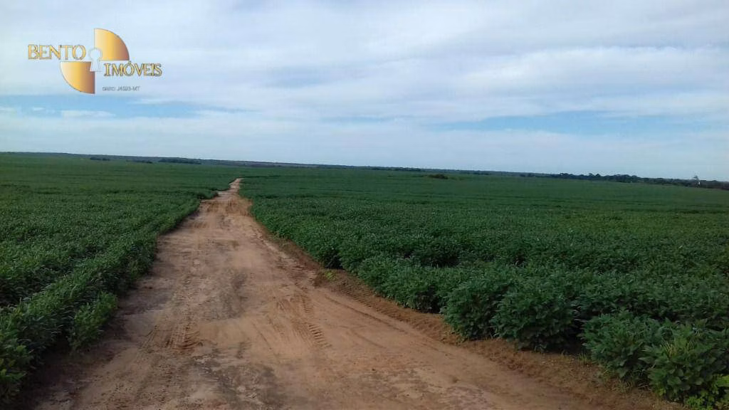 Fazenda de 4,080 ha em Ribeirão Cascalheira, MT