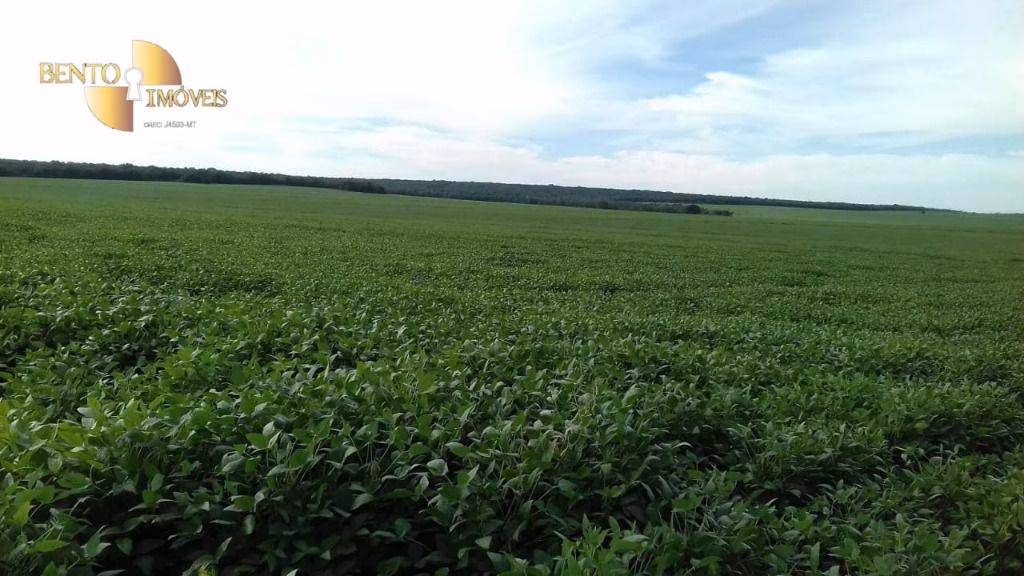 Fazenda de 4.080 ha em Ribeirão Cascalheira, MT