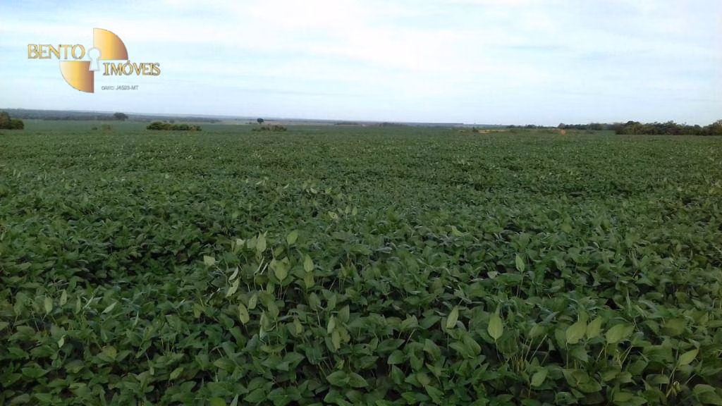 Fazenda de 4.080 ha em Ribeirão Cascalheira, MT