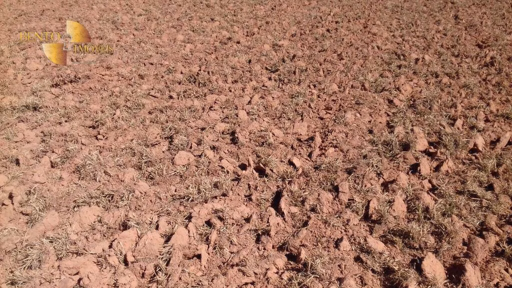 Fazenda de 4.080 ha em Ribeirão Cascalheira, MT
