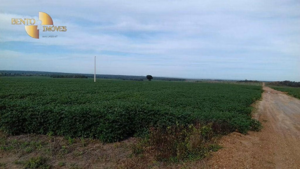 Fazenda de 4.080 ha em Ribeirão Cascalheira, MT
