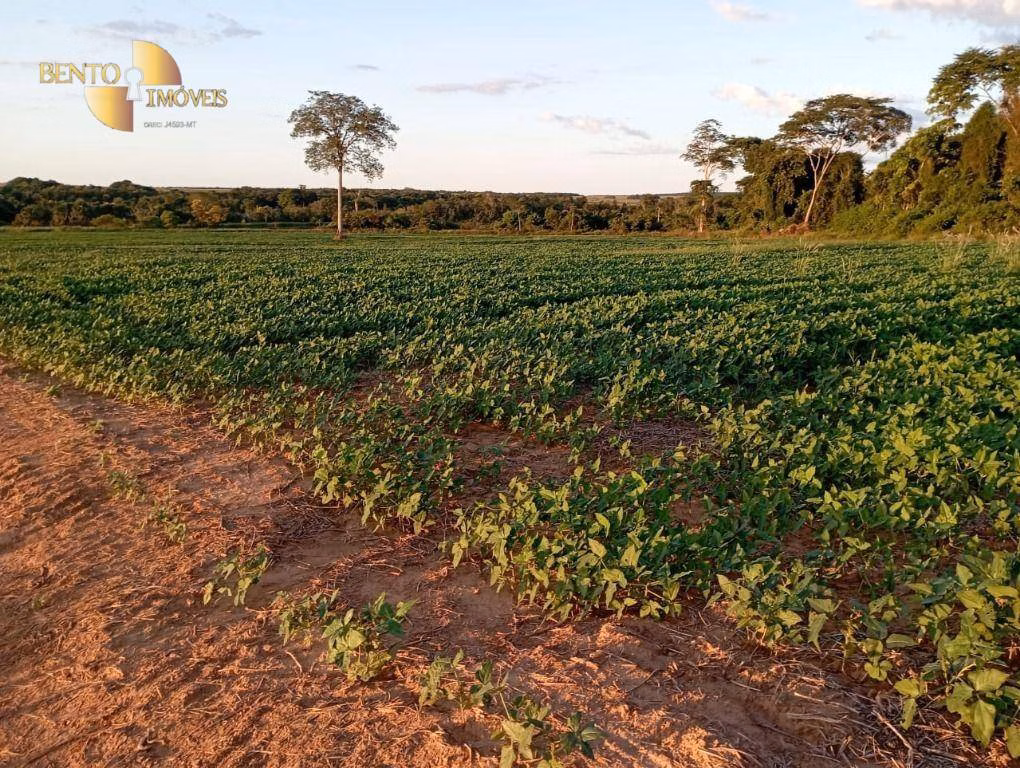 Fazenda de 4.080 ha em Ribeirão Cascalheira, MT