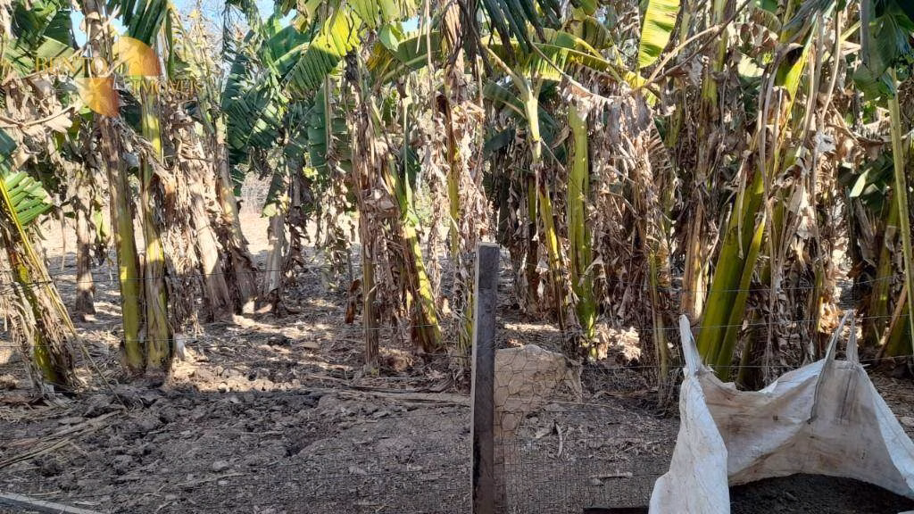 Fazenda de 4.080 ha em Ribeirão Cascalheira, MT