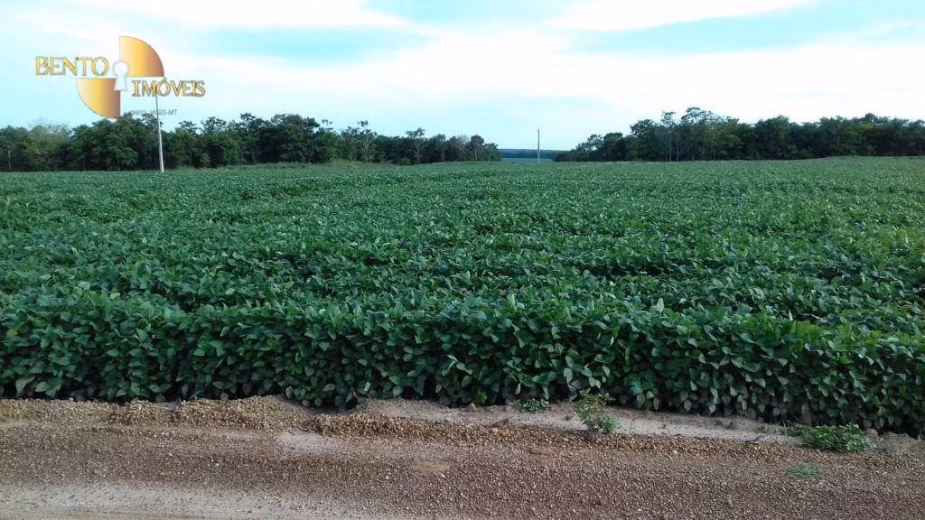 Fazenda de 4,080 ha em Ribeirão Cascalheira, MT