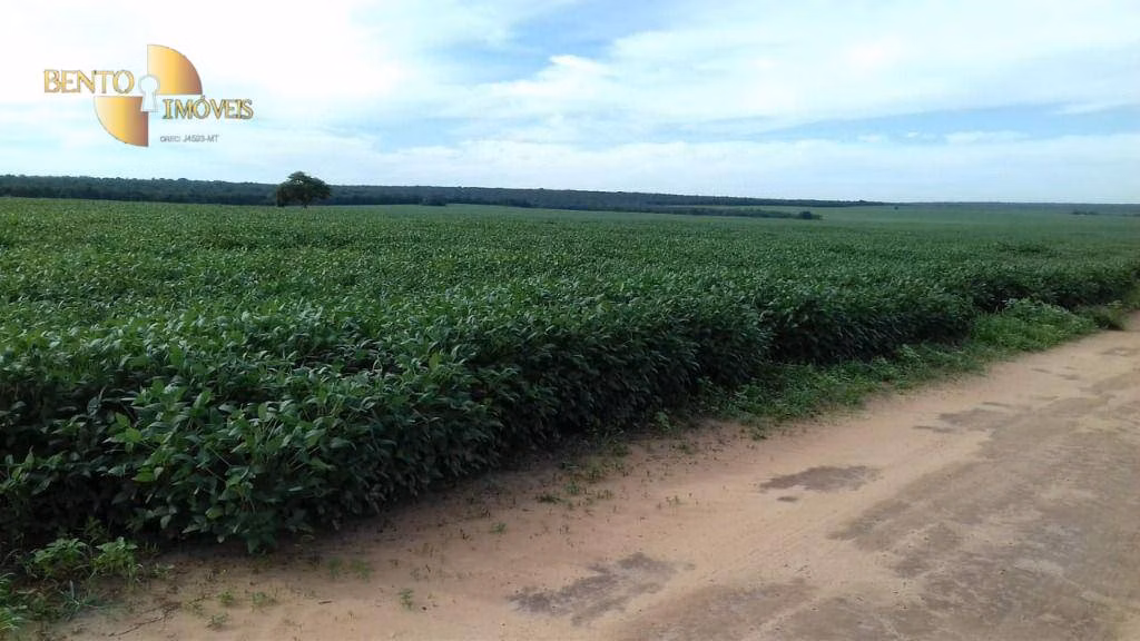 Fazenda de 4.080 ha em Ribeirão Cascalheira, MT