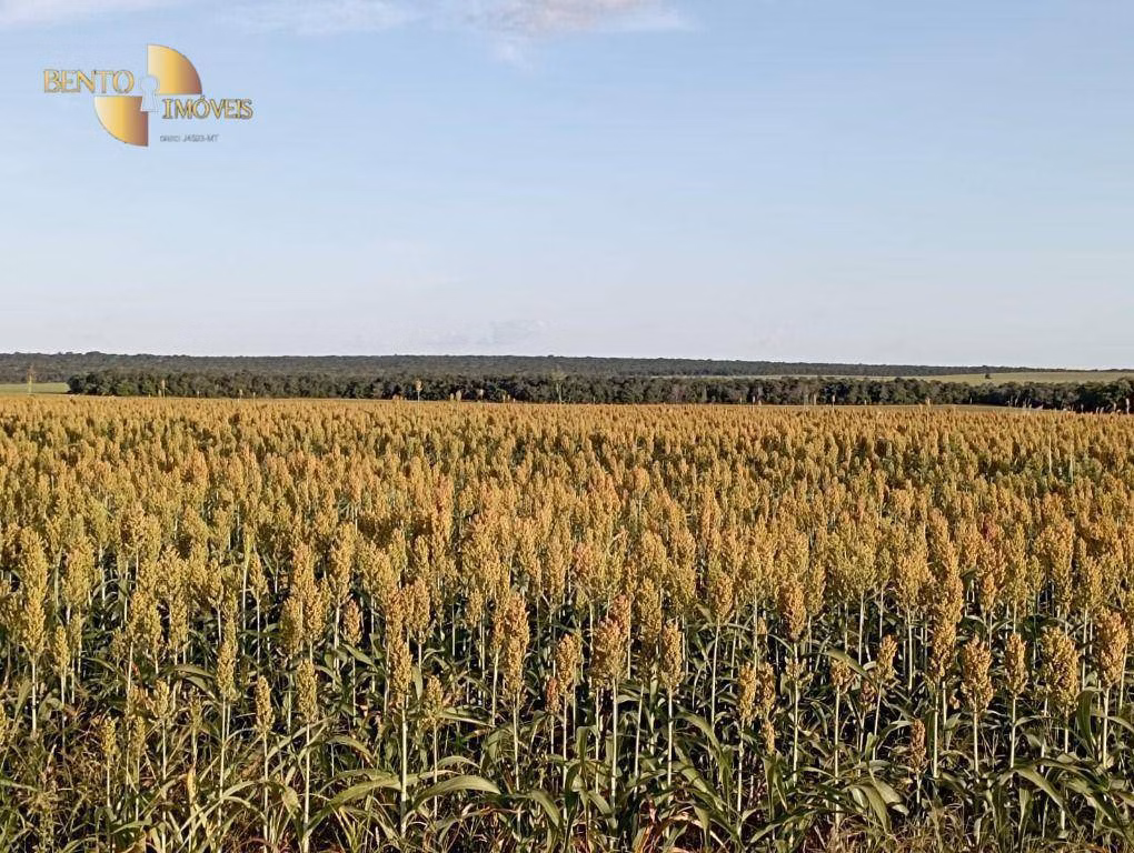 Fazenda de 4.080 ha em Ribeirão Cascalheira, MT