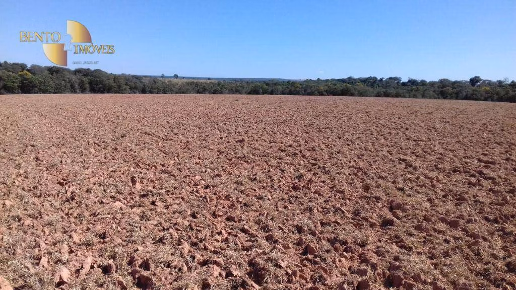 Fazenda de 4.080 ha em Ribeirão Cascalheira, MT