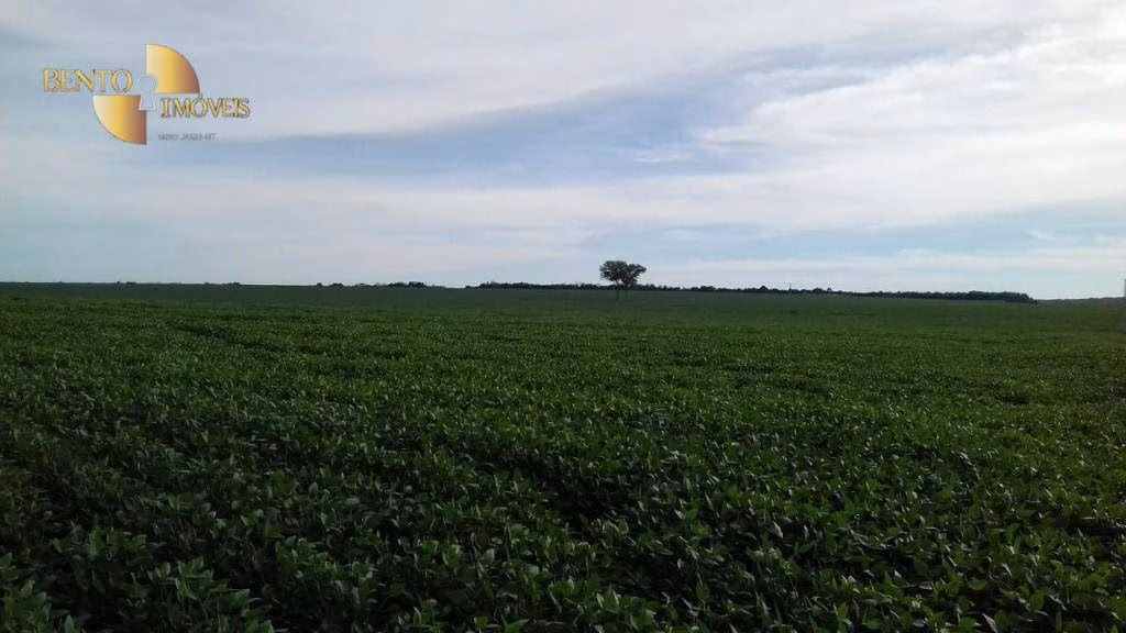 Fazenda de 4,080 ha em Ribeirão Cascalheira, MT