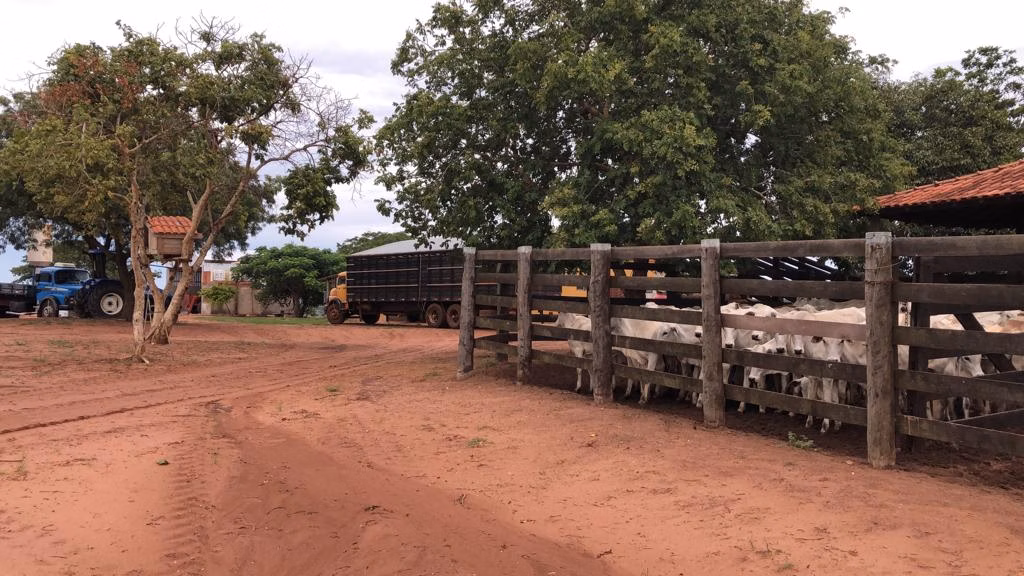 Farm of 2,183 acres in Ribas do Rio Pardo, MS, Brazil