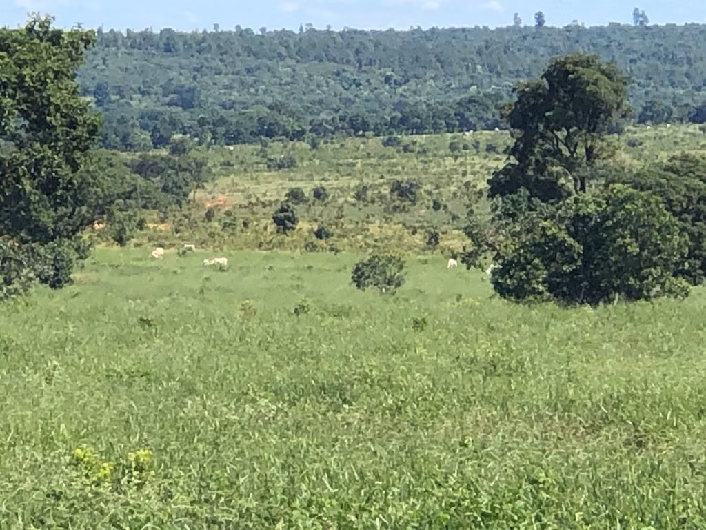 Farm of 2,183 acres in Ribas do Rio Pardo, MS, Brazil