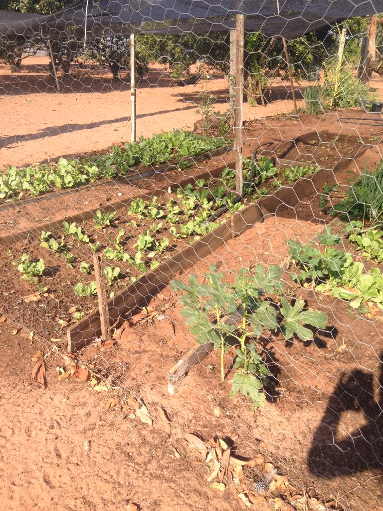 Farm of 2,183 acres in Ribas do Rio Pardo, MS, Brazil