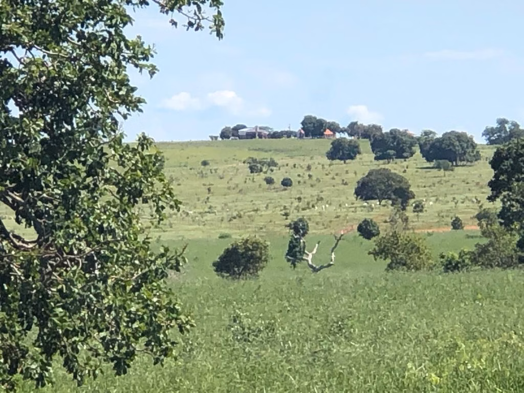 Farm of 2,183 acres in Ribas do Rio Pardo, MS, Brazil