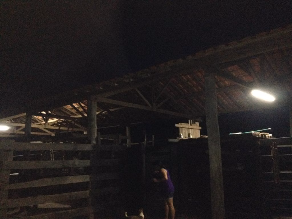 Farm of 2,183 acres in Ribas do Rio Pardo, MS, Brazil