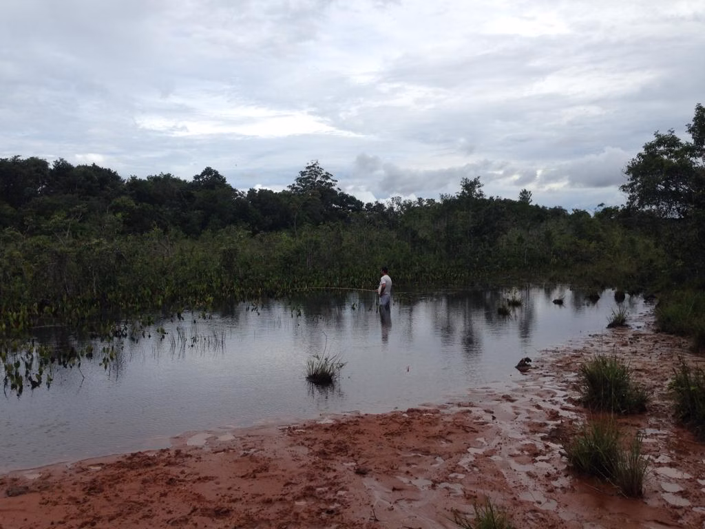 Fazenda de 883 ha em Ribas do Rio Pardo, MS