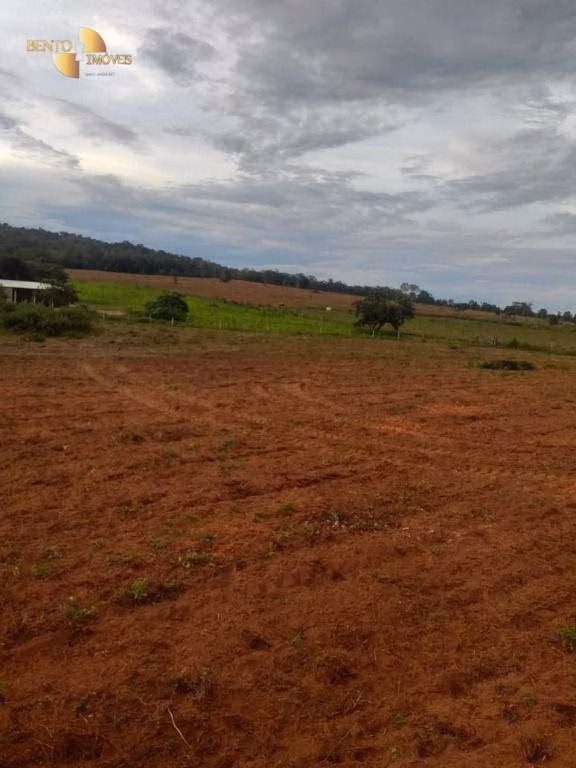 Farm of 3.336 acres in Guiratinga, MT, Brazil