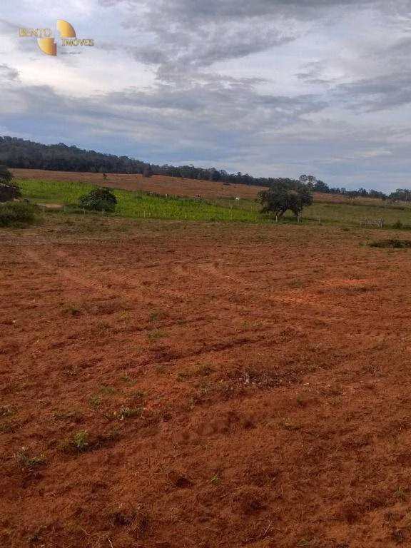 Fazenda de 1.350 ha em Guiratinga, MT