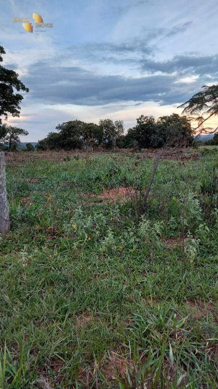 Fazenda de 1.350 ha em Guiratinga, MT