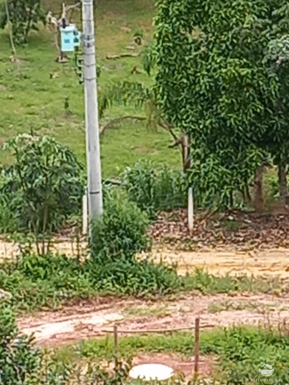 Terreno de 2 ha em Monteiro Lobato, SP