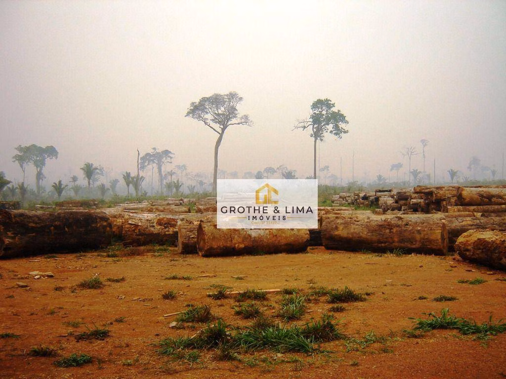 Fazenda de 94.000 ha em Rondolândia, MT