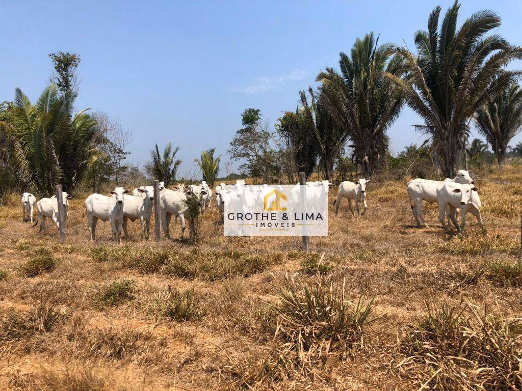 Fazenda de 94.000 ha em Rondolândia, MT