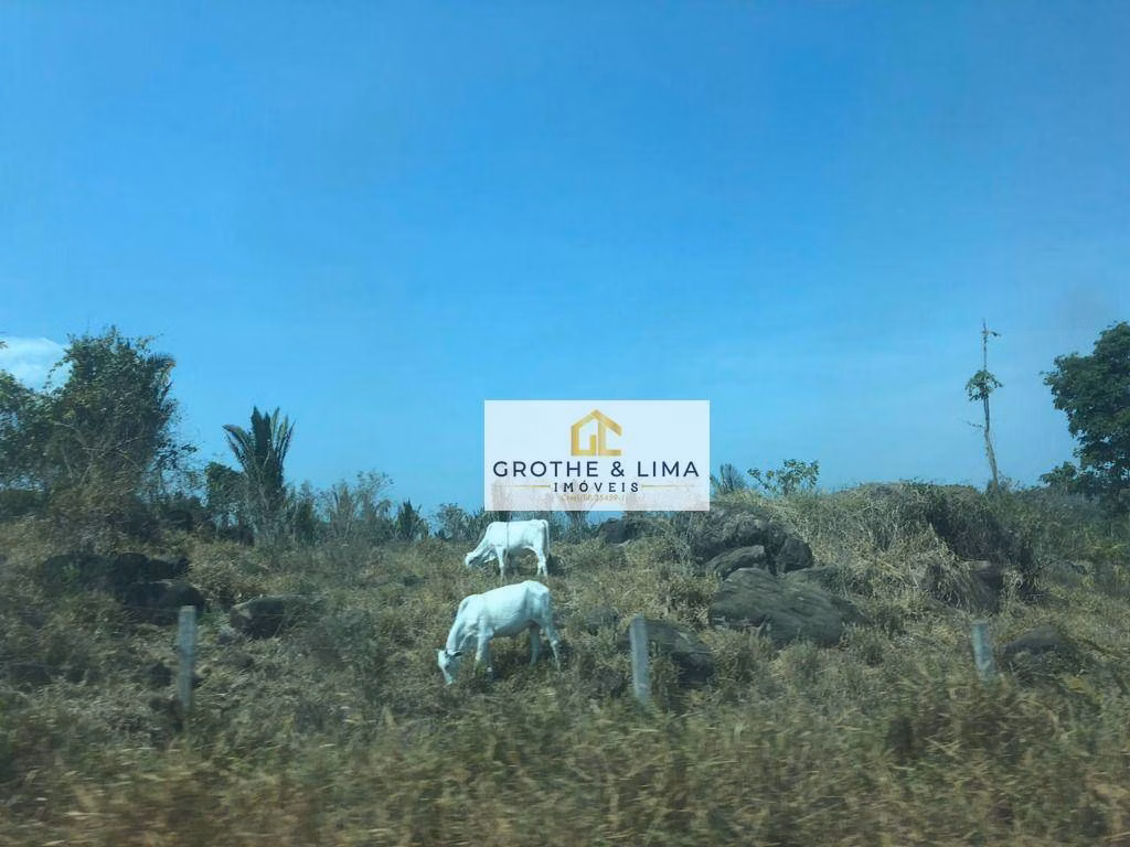 Fazenda de 94.000 ha em Rondolândia, MT