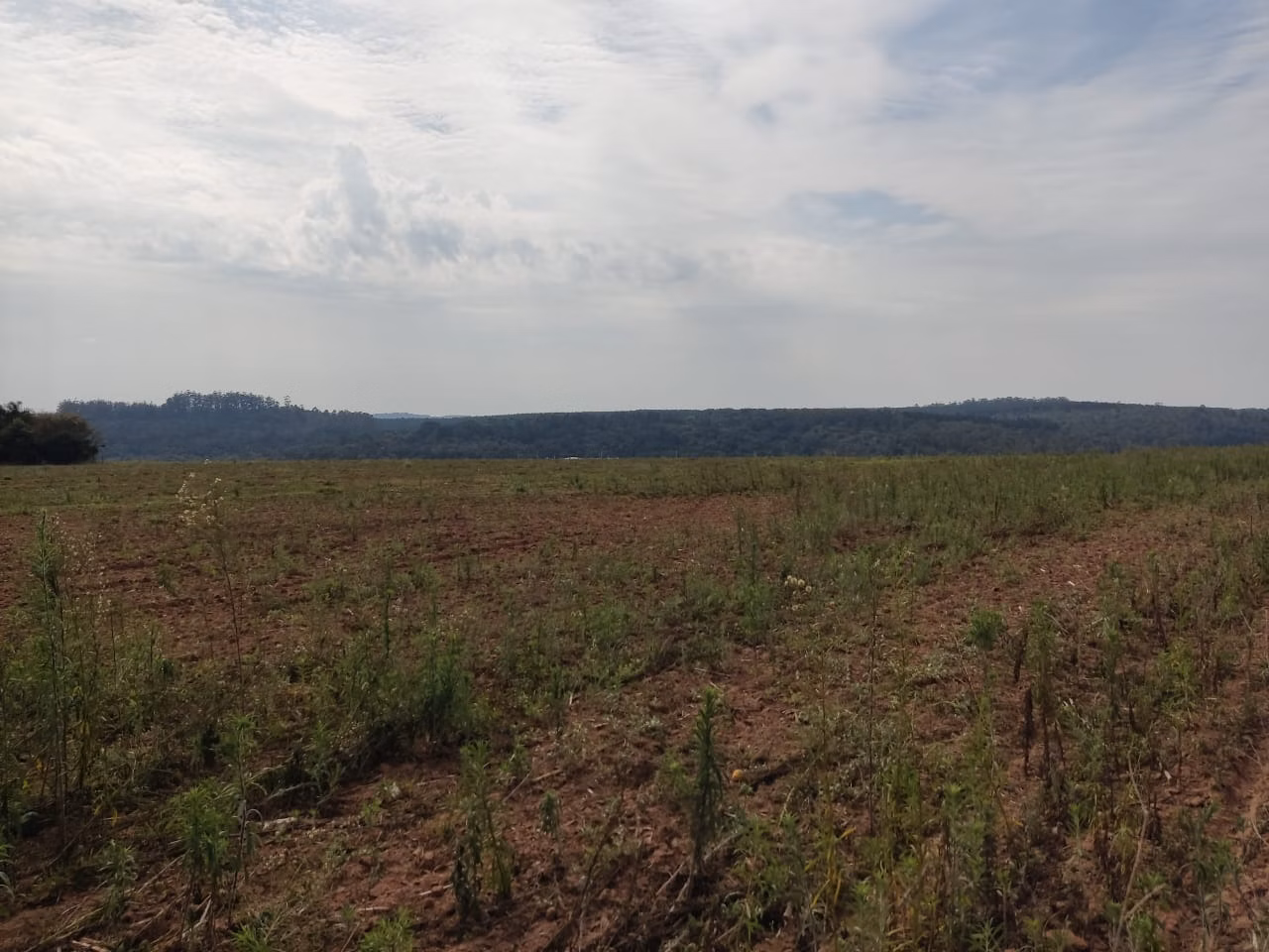 Farm of 317 acres in Itapetininga, SP, Brazil