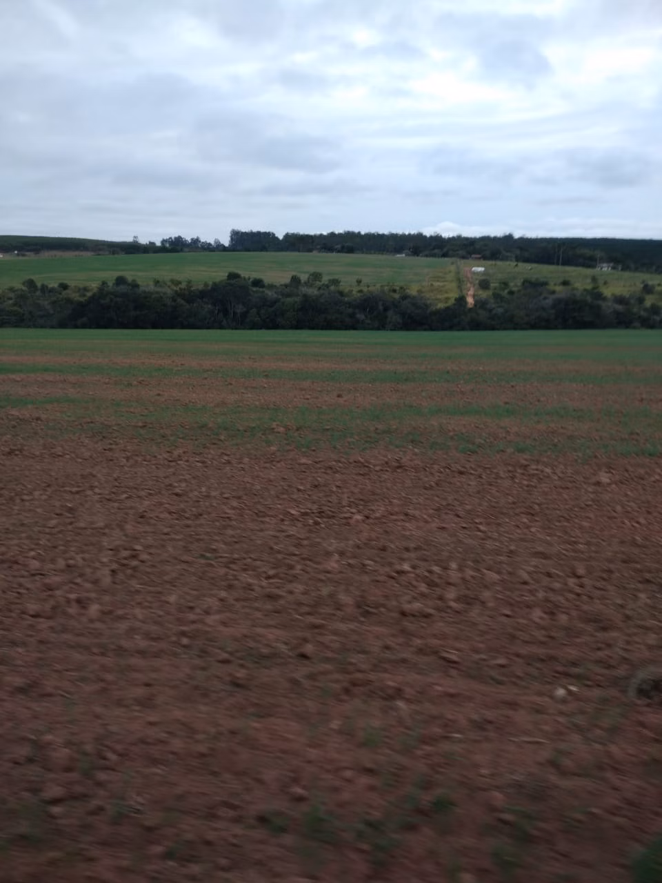 Fazenda de 128 ha em Itapetininga, SP