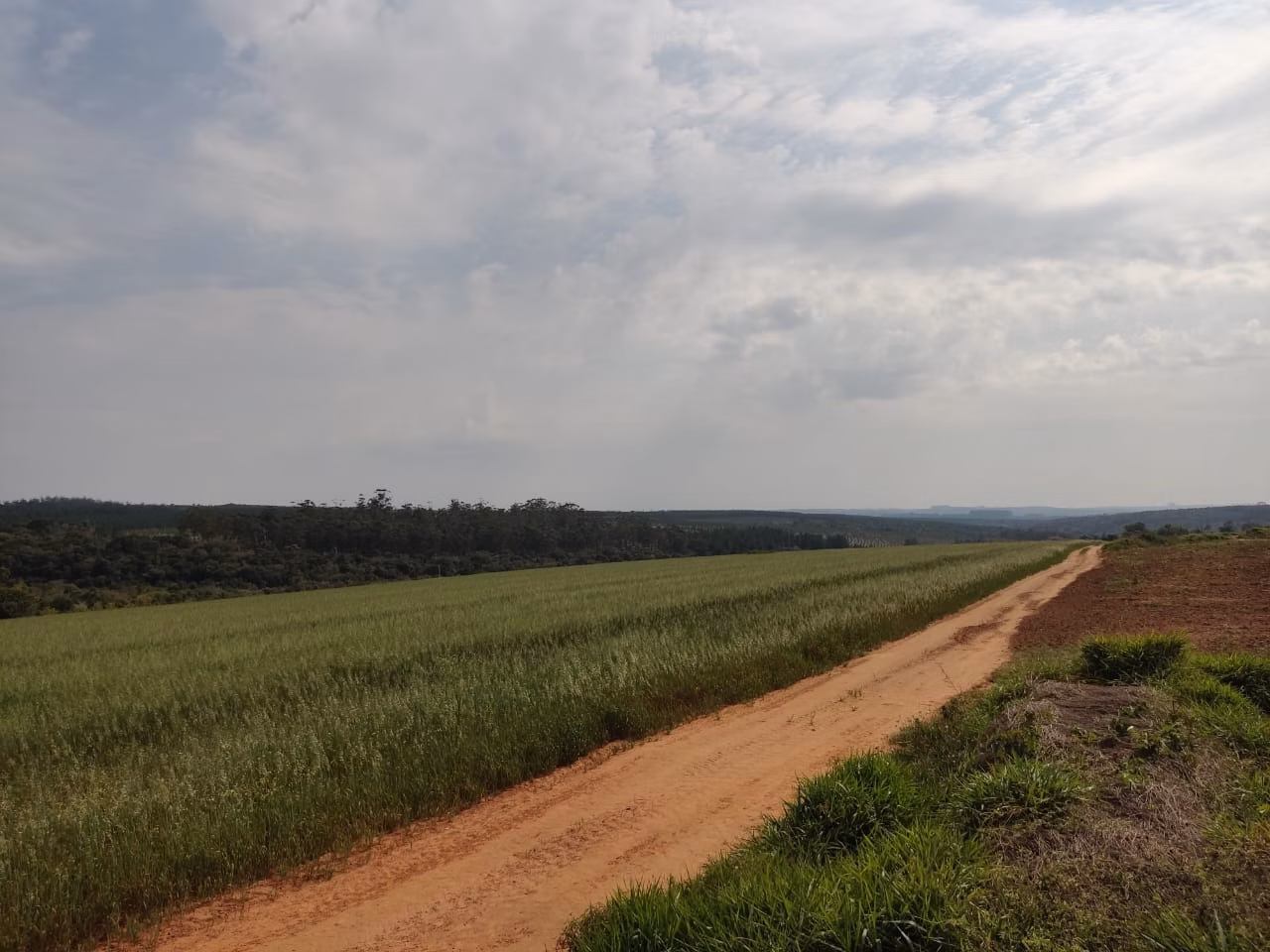 Farm of 317 acres in Itapetininga, SP, Brazil