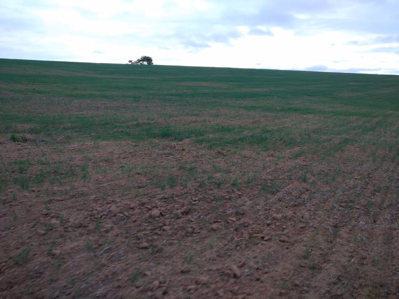 Fazenda de 128 ha em Itapetininga, SP