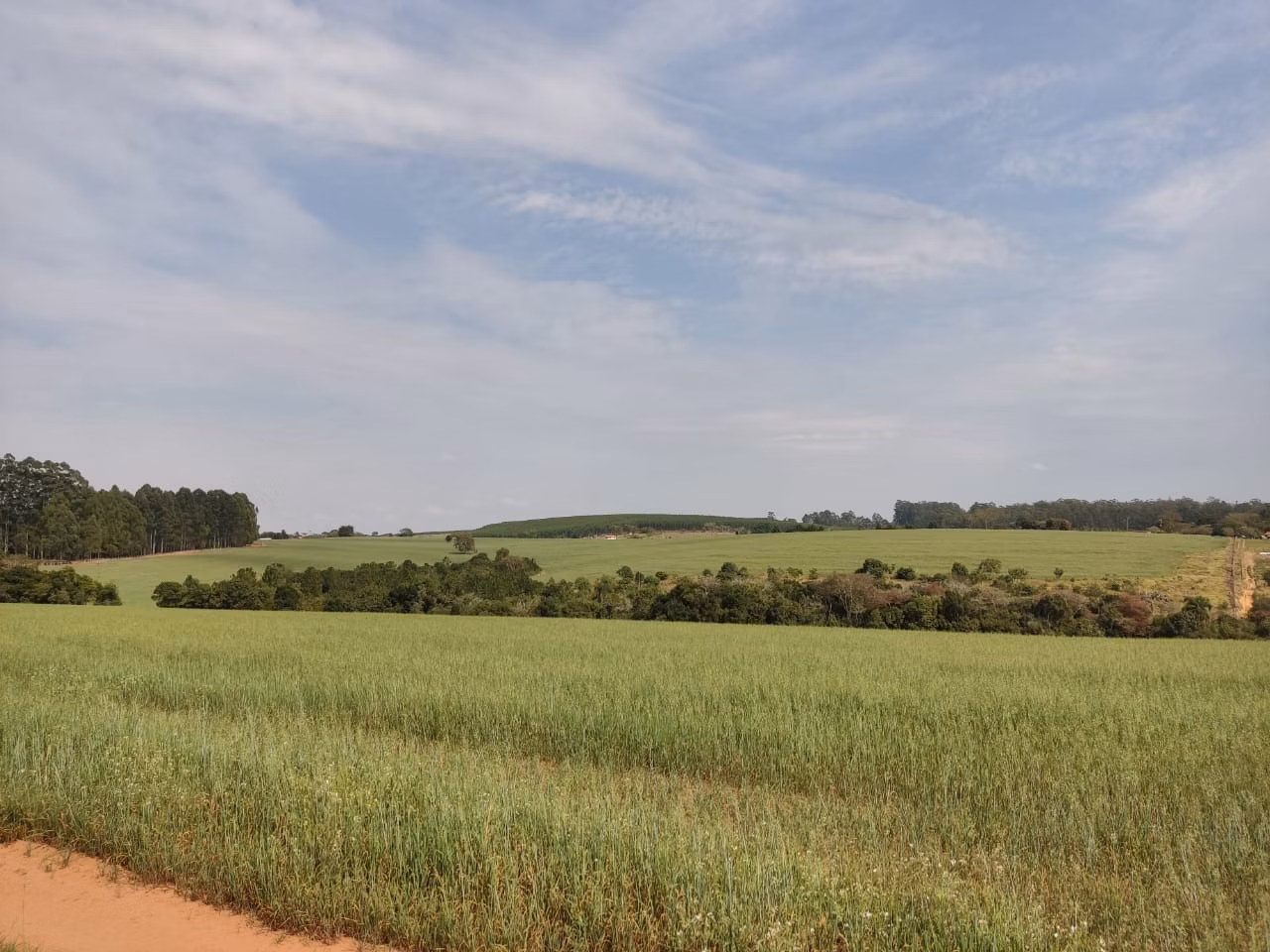 Fazenda de 128 ha em Itapetininga, SP