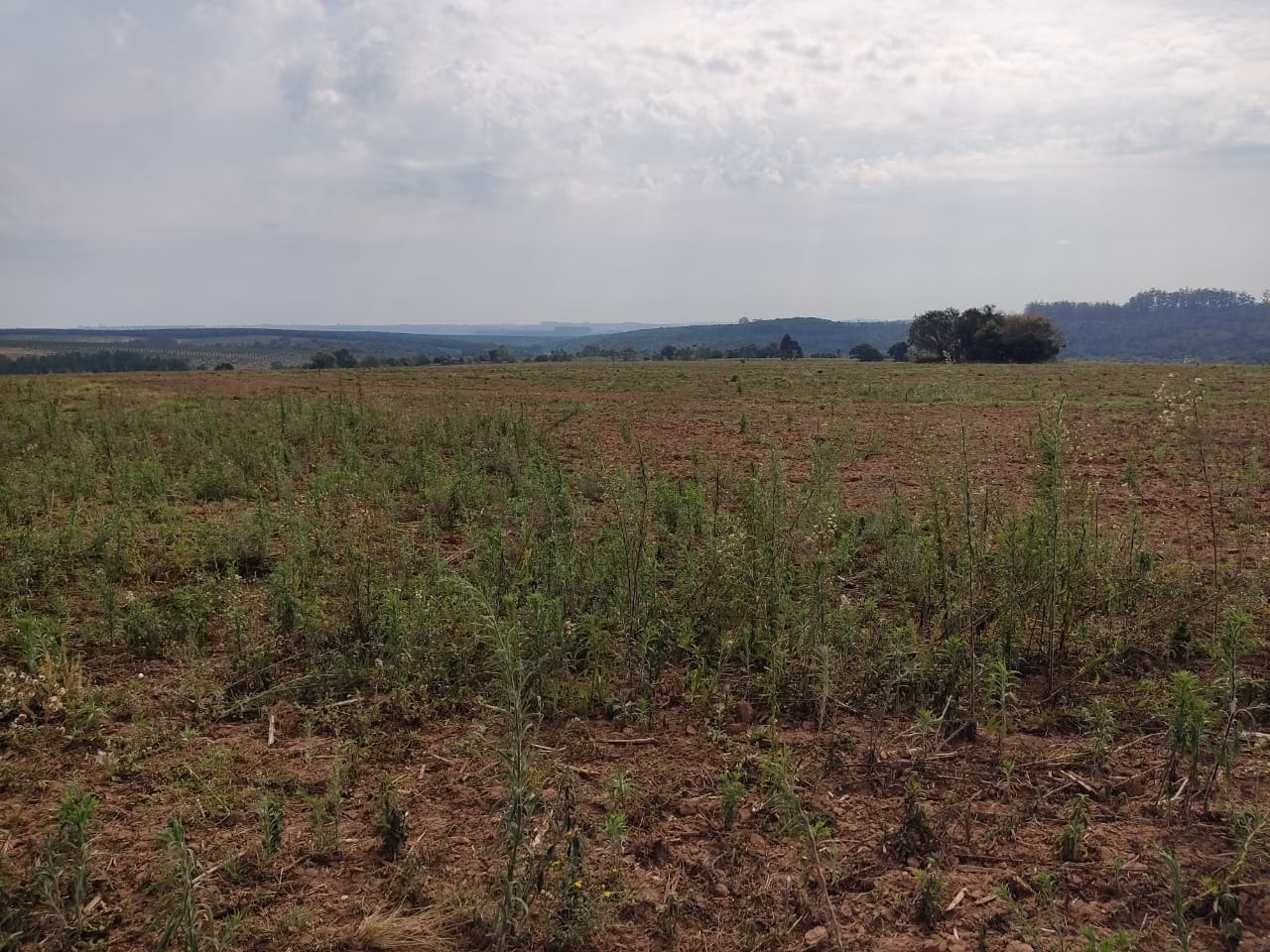 Fazenda de 128 ha em Itapetininga, SP