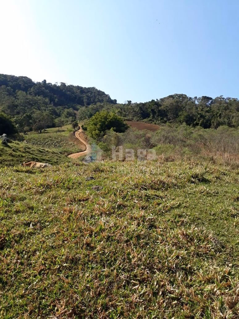 Plot of 86 acres in Angelina, SC, Brazil