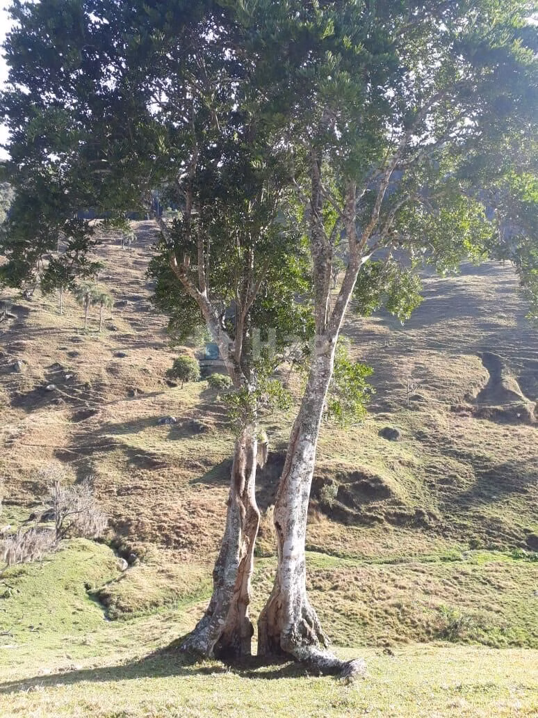 Plot of 86 acres in Angelina, SC, Brazil