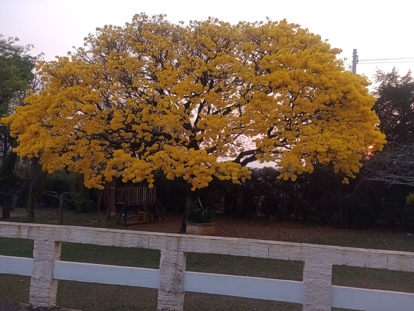 Chácara de 3.800 m² em Piraju, SP