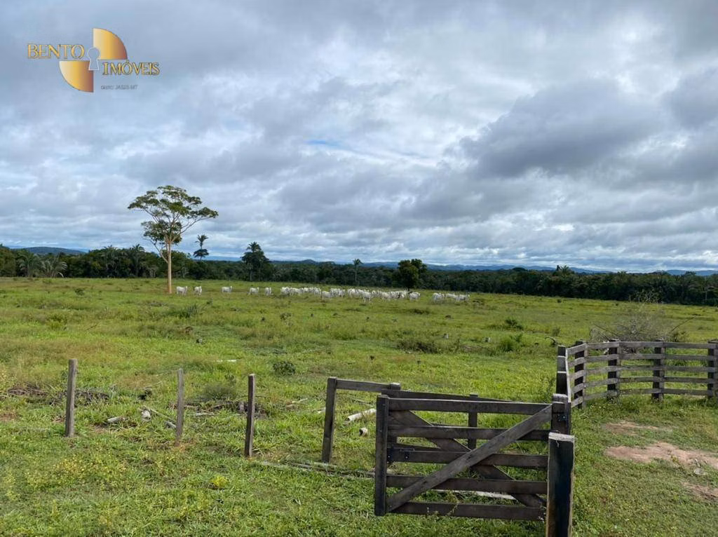 Fazenda de 174 ha em Cuiabá, MT