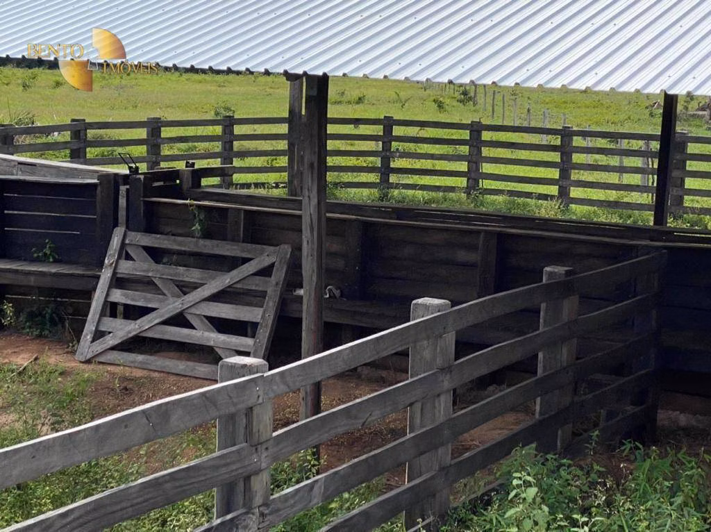 Fazenda de 174 ha em Cuiabá, MT