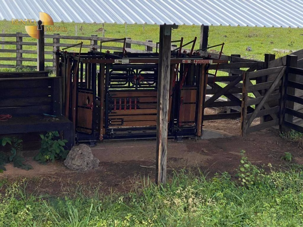 Fazenda de 174 ha em Cuiabá, MT