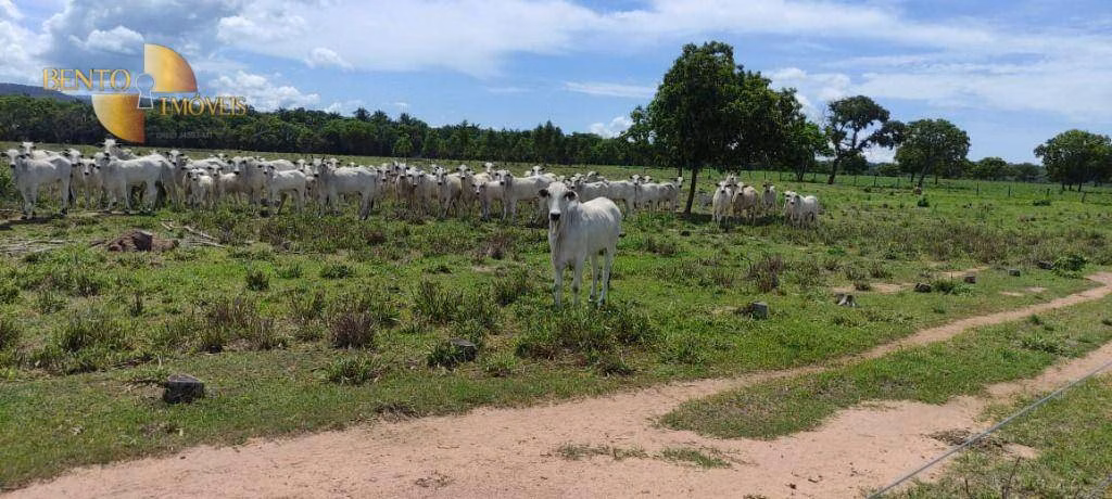 Farm of 430 acres in Cuiabá, MT, Brazil