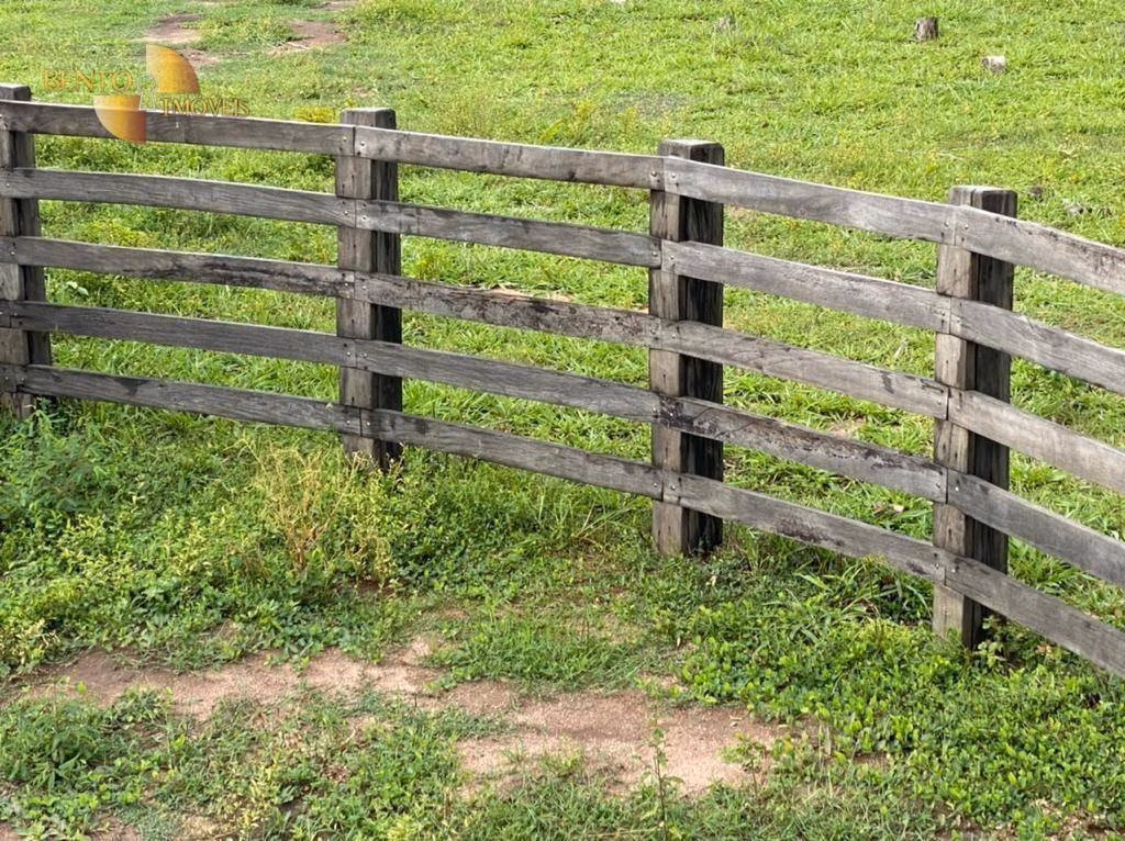 Farm of 430 acres in Cuiabá, MT, Brazil
