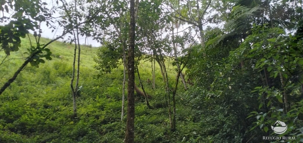 Chácara de 1 ha em São José dos Campos, SP