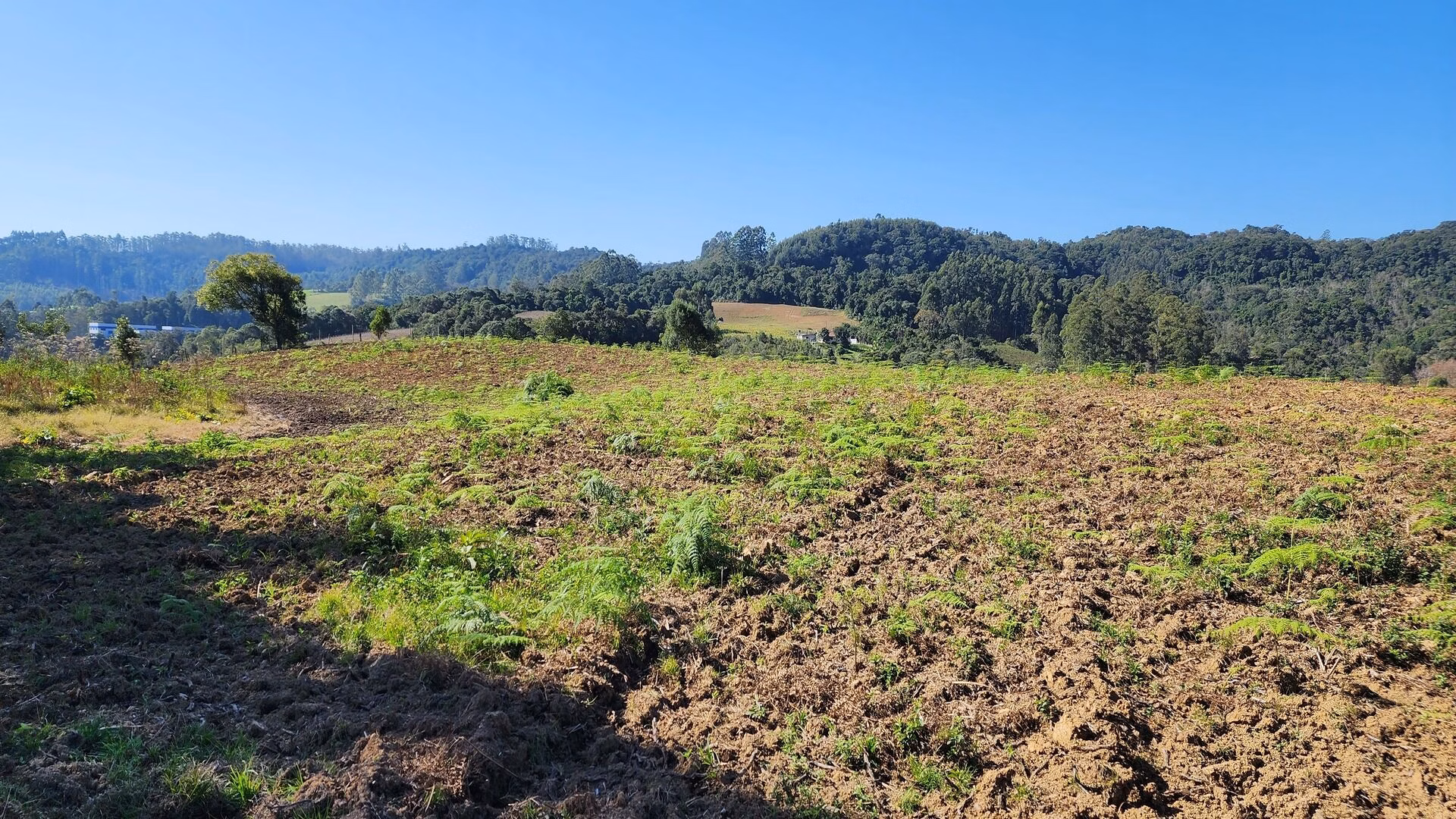 Sítio de 9 ha em Rio do Sul, SC