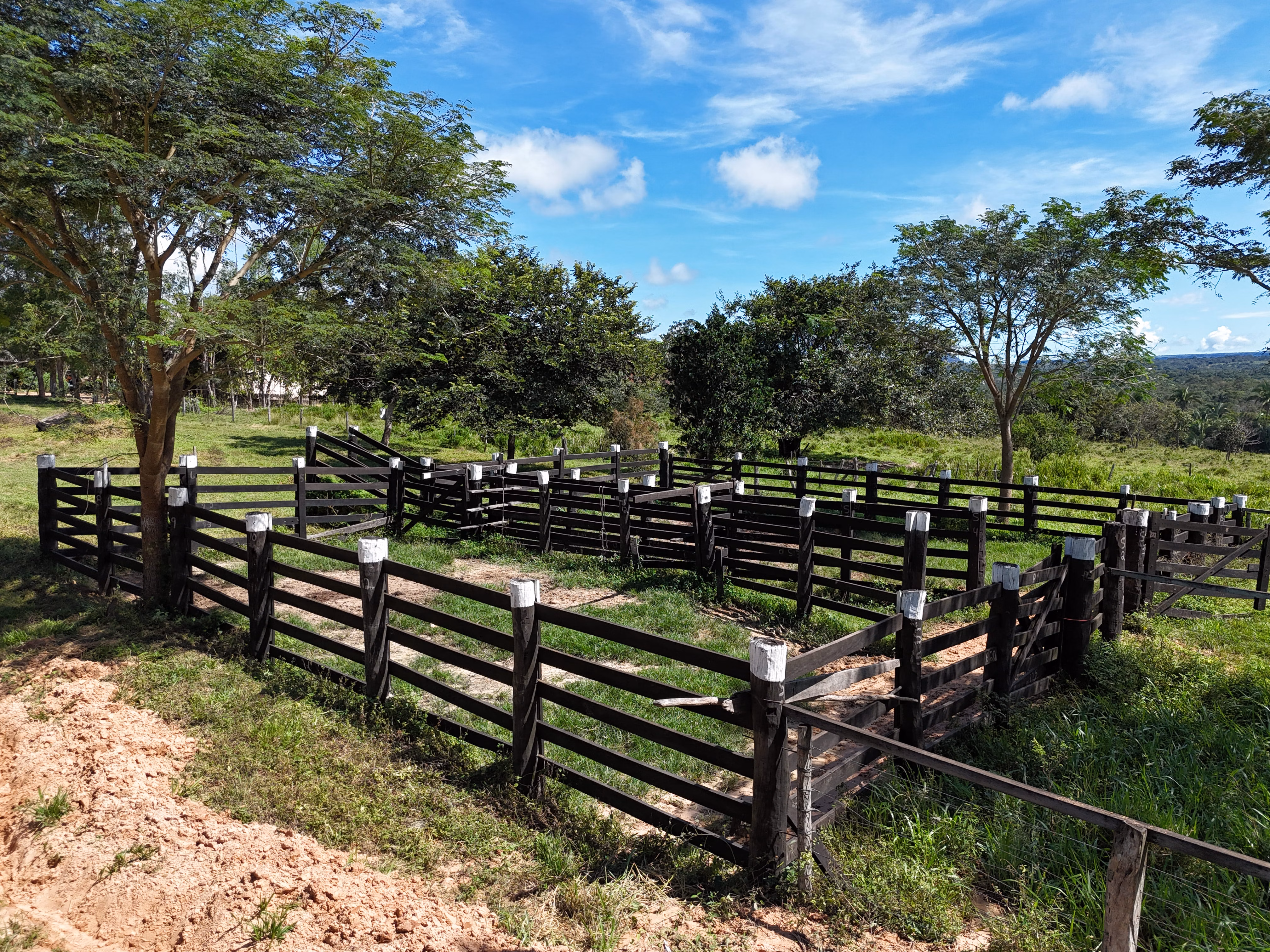 Fazenda de 260 ha em Guiratinga, MT