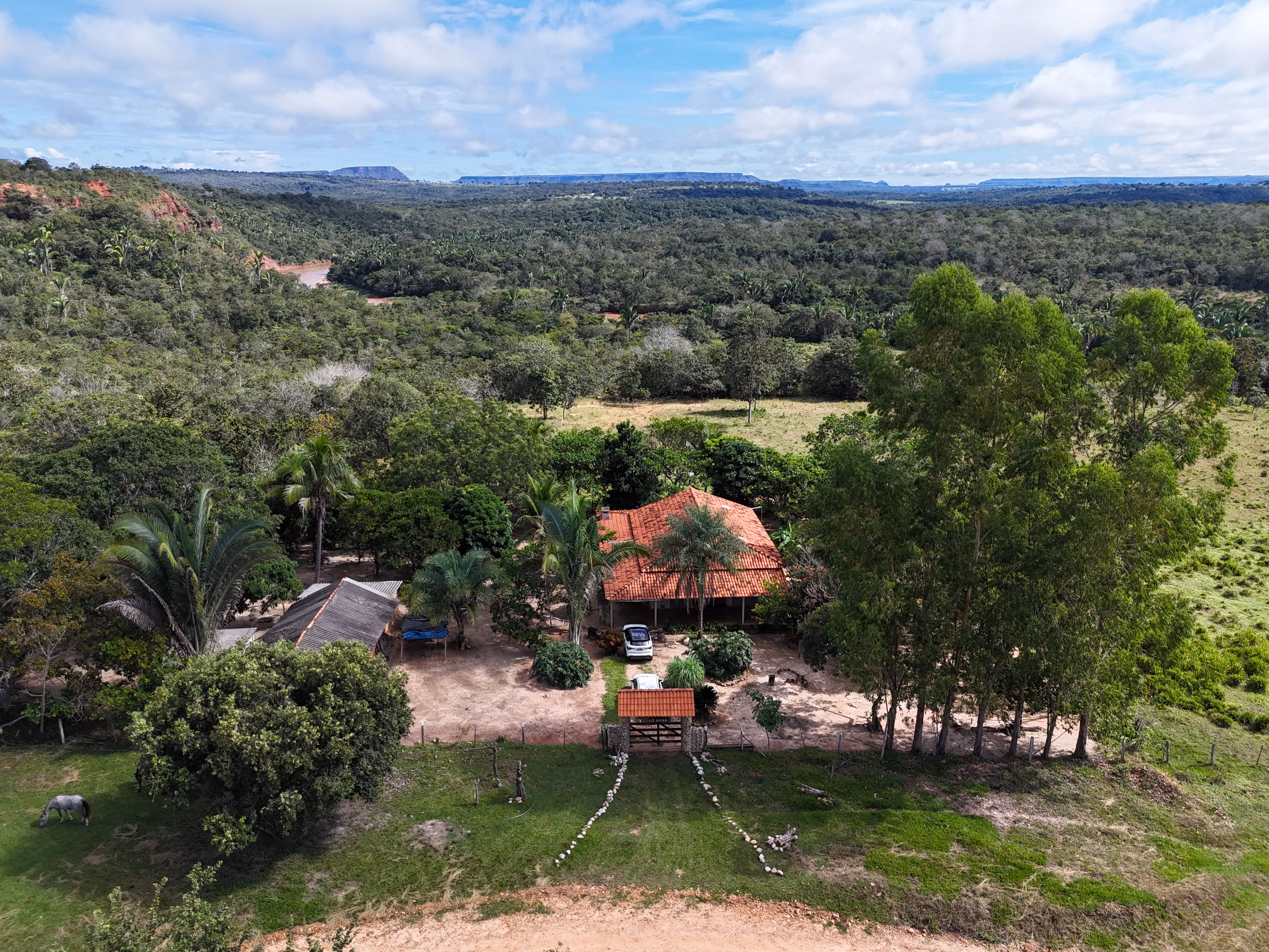 Fazenda de 260 ha em Guiratinga, MT
