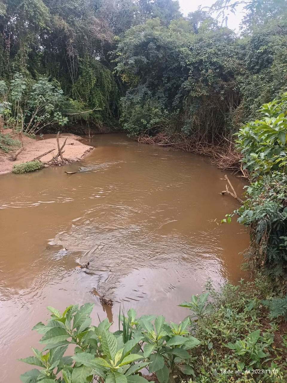 Small farm of 227 acres in Avaré, SP, Brazil