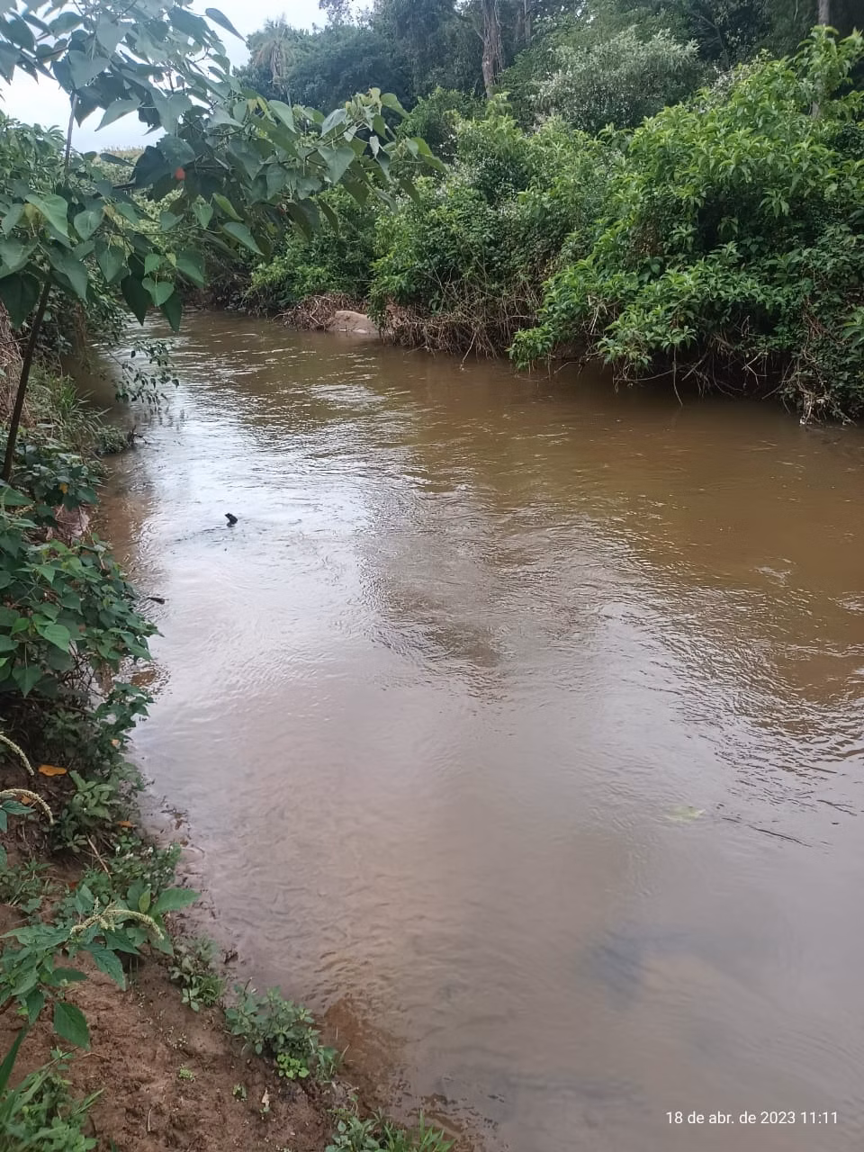 Small farm of 227 acres in Avaré, SP, Brazil