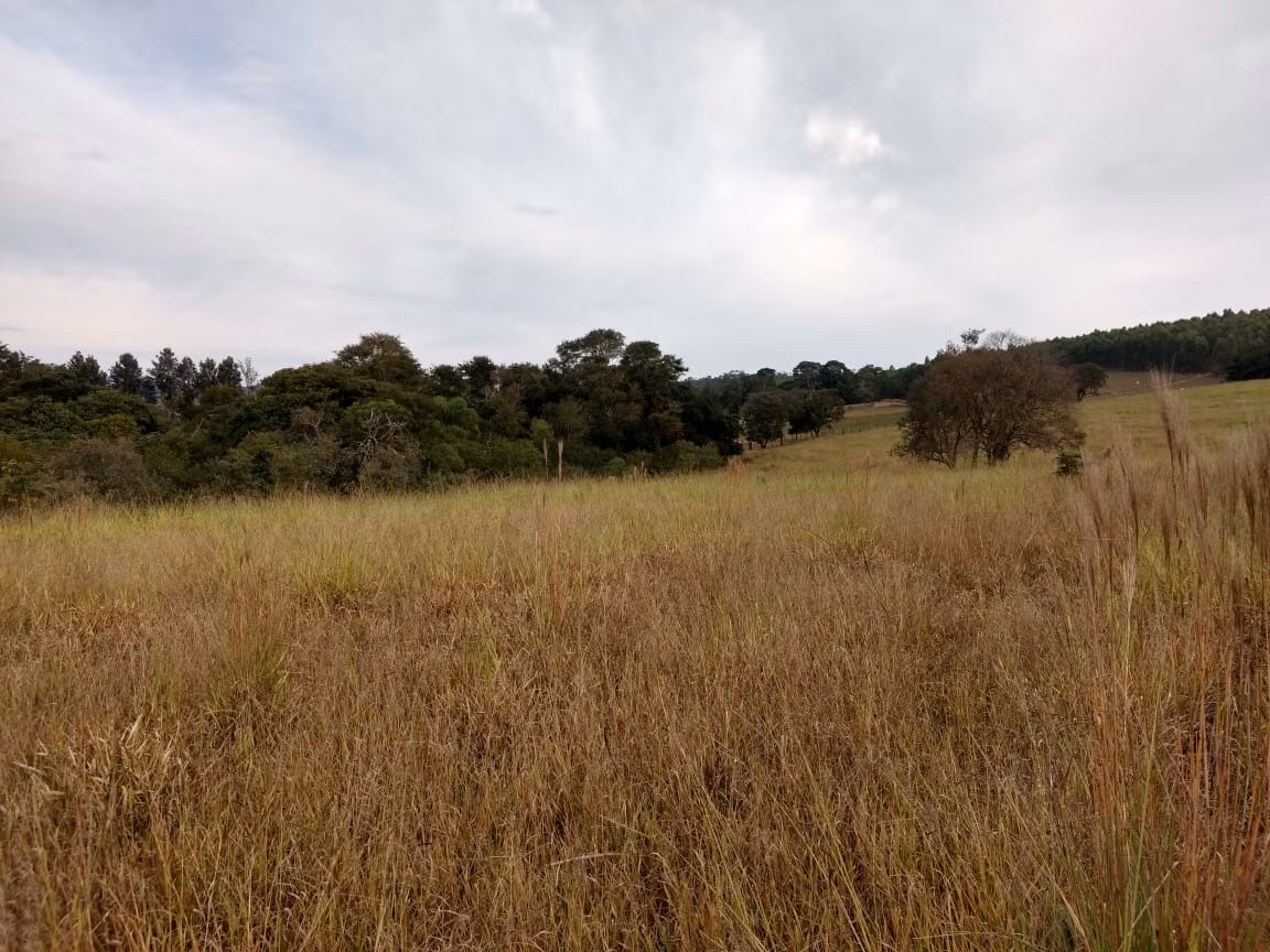 Small farm of 70 acres in Pilar do Sul, SP, Brazil
