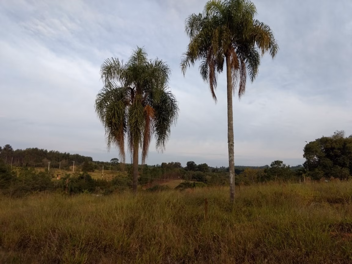 Small farm of 70 acres in Pilar do Sul, SP, Brazil