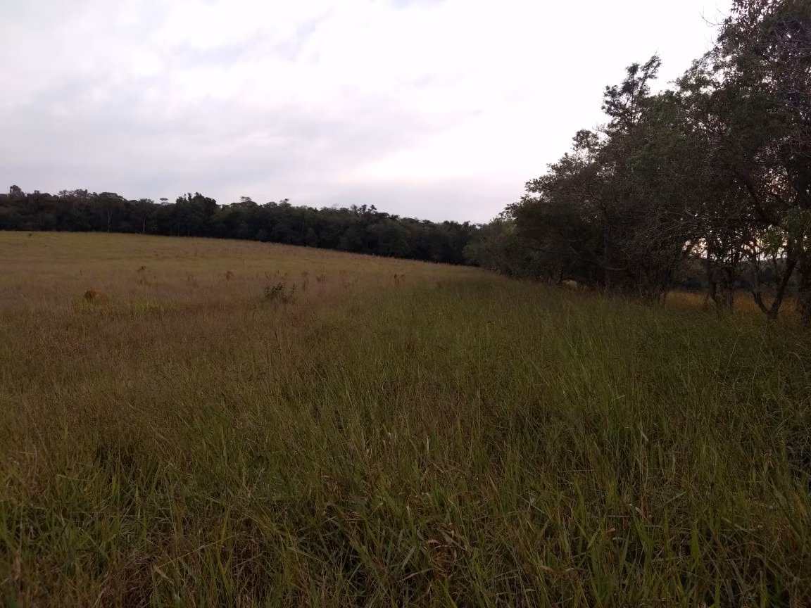 Small farm of 70 acres in Pilar do Sul, SP, Brazil