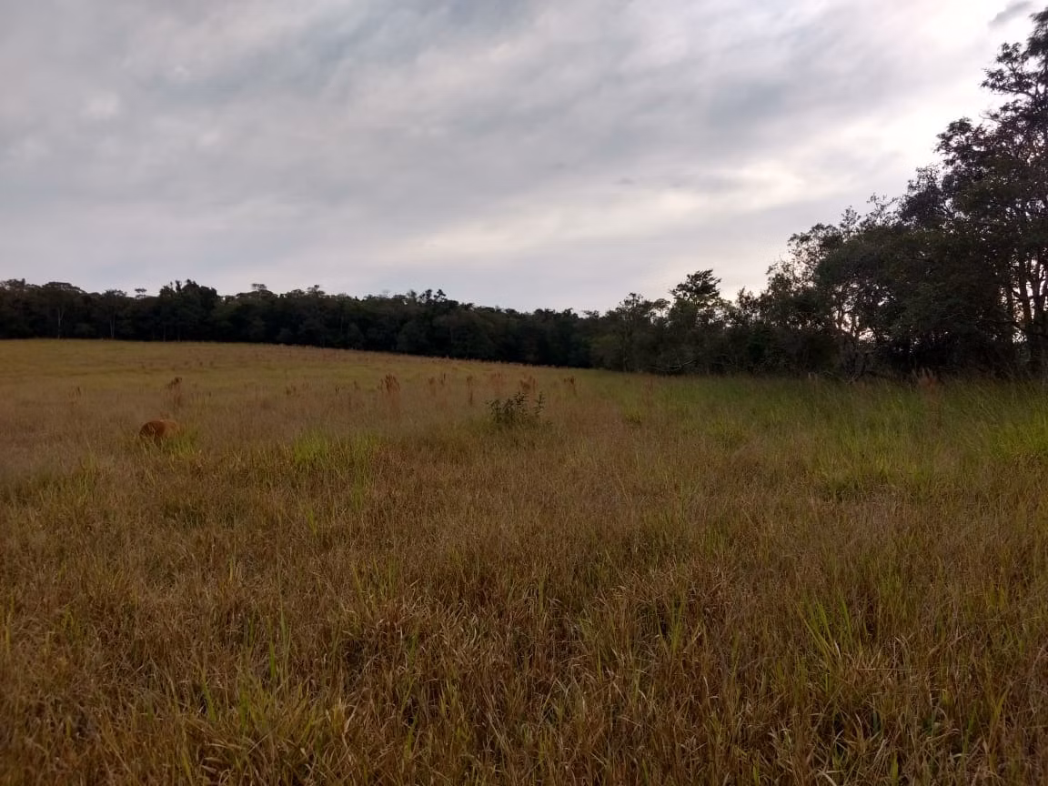 Small farm of 70 acres in Pilar do Sul, SP, Brazil